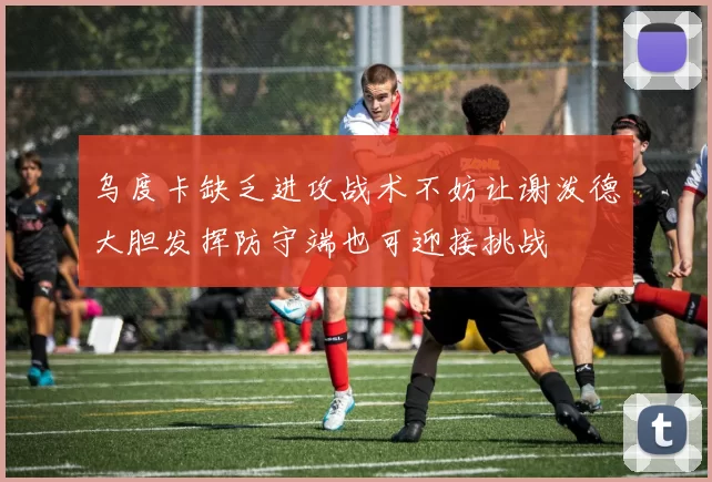 乌度卡缺乏进攻战术不妨让谢泼德大胆发挥防守端也可迎接挑战